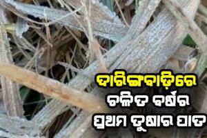 ଓଡ଼ିଶାର କାଶ୍ମୀର ଦାରିଙ୍ଗବାଡ଼ିରେ ଚଳିତ ବର୍ଷର ପ୍ରଥମ ତୁଷାର ପାତ