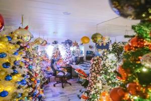 ଘରକୁ ୪୪୪ କ୍ରିସ୍‌ମାସ୍ ଟ୍ରିରେ ସଜାଇ ବିଶ୍ୱ ରେକର୍ଡ ସ୍ଥାପନ କଲେ ଦମ୍ପତି