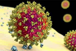 ଓମିକ୍ରନ ଓ ଡେଲ୍‌ଟା ମିଶି ସୃଷ୍ଟି ହୋଇପାରେ ବିପଜ୍ଜନକ ଷ୍ଟ୍ରେନ