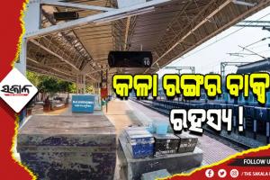 ଆପଣ ଜାଣନ୍ତି କି ରେଳ ଷ୍ଟେସନ୍‌ରେ କାହିଁକି ରଖାଯାଇଥାଏ ଏକ ନିର୍ଦ୍ଦିଷ୍ଟ କଳା ରଙ୍ଗର ବାକ୍ସ, ଆସନ୍ତୁ ଜାଣିବା…..