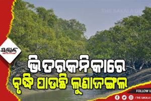 ପ୍ରକାଶ ପାଇଲା ଭାରତ ସରକାରଙ୍କ ଲୁଣା ଜଙ୍ଗଲ ସର୍ଭେ ରିପୋର୍ଟ : ଭିତରକନିକାରେ ସବୁଠୁ ଅଧିକ ବଢିଛି ଲୁଣାଜଙ୍ଗଲ