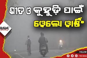 ଘନ କୁହୁଡ଼ି ସହ ଶୀତ ଲହର ନେଇ ୧୩ ଜିଲ୍ଲାକୁ ୟେଲୋ ୱାର୍ଣ୍ଣିଂ ଜାରି