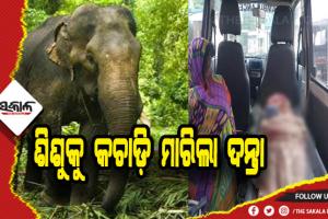 ଘରେ ପଶି ୫ ବର୍ଷର ଶିଶୁକୁ କଚାଡ଼ି ମାରିଲା ଦନ୍ତା ହାତୀ, ଅଳ୍ପକେ ବର୍ତ୍ତିଲେ ବାପା- ମାଆ