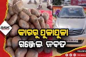 ଦୁର୍ଘଟଣାଗ୍ରସ୍ତ କାରରୁ ଜବତ ହେଲା ୧ କୁଇଣ୍ଟାଲରୁ ଉର୍ଦ୍ଧ୍ବ ଗଞ୍ଜେଇ