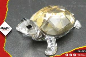 ବାସ୍ତୁଶାସ୍ତ୍ରରେ କ୍ରିଷ୍ଟାଲ୍‌ କଇଁଛର ମହତ୍ତ୍ବ