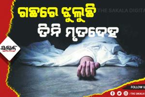 ଗଛରେ ଝୁଲୁଛି ୩ ଯୁବତୀଙ୍କ ମୃତଦେହ