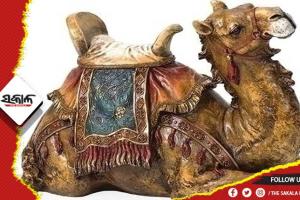 ଘରେ ରଖନ୍ତୁ ଓଟର ମୂର୍ତ୍ତି, ଦୂର ହେବ ଏହି ସବୁ ସମସ୍ୟା