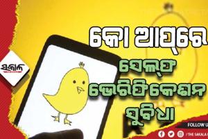କୋ ଆପ୍‌ରେ ସେଲ୍‌ଫ ଭେରିଫିକେଶନ ସୁବିଧା, ମିଳିବ ଗ୍ରୀନ ଟିକ୍