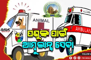 ପଶୁଙ୍କ ପାଇଁ ଆମ୍ବୁଲାନ୍ସ ଆଣିବ ବିଏମ୍‍ସି