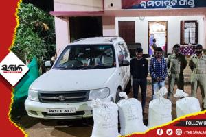 କାରରେ ଗଂଜେଇ ଚାଲାଣବେଳେ ମାଡିବସିଲା ପୋଲିସ; ୧୦ ଲକ୍ଷ ଟଙ୍କାର ଗଞ୍ଜେଇ ଜବତ, ୨ ଗିରଫ