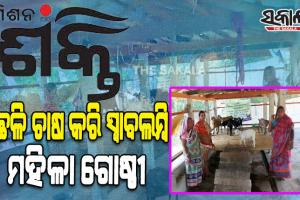 “ମିଶନ ଶକ୍ତି” ଦେଖାଇଲା ବଞ୍ଚିବାର ନୂତନ ରାହା; ଛେଳି ଚାଷ କରି ସ୍ୱାବଲମ୍ବି ହୋଇ ପାରିଛନ୍ତି ମହିଳା ଗୋଷ୍ଠୀ
