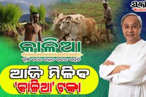 ଚାଷୀଙ୍କୁ ‘ଅକ୍ଷୟ’ ଭେଟି : ଆଜି ମିଳିବ ‘କାଳିଆ’ କିସ୍ତି