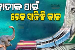 ବାଟବଣା ‘ପ୍ରୋଜେକ୍ଟ ଏଲିଫ୍ୟାଣ୍ଟ୍‌’ : ଟ୍ରେନ୍‍ ଦୁର୍ଘଟଣାରେ ୧୦ ବର୍ଷ ମଧ୍ୟରେ ମରିଛନ୍ତି ୩୬ ହାତୀ
