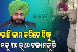 ଠିକଣା ବଦଳିବା ସହ ବଦଳିଗଲା ନବଜୋତ ସିଂ ସିଦ୍ଧୁଙ୍କ କାମ : ଥିଲେ କ୍ରିକେଟର ହେଲେ ନେତା, ଆଉ ଏବେ କିରାଣି