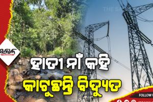 ବିଦ୍ୟୁତ ବିଭାଗ ଓ ବନବିଭାଗର ମନମାନି: ହାତୀ ନାଁ କହି କାଟୁଛନ୍ତି ବିଦ୍ଯୁତ, ସତକୋଶିଆର ୬ ପଞ୍ଚାୟତବାସୀ ହନ୍ତସନ୍ତ