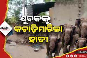 ମଦଭାଟିରେ ହାତୀପଲ ଆକ୍ରମଣ: ଶୋଇଥିବା ଅବସ୍ଥାରେ ଯୁବକଙ୍କୁ କଚାଡ଼ି ମାରିଲା ହାତୀ