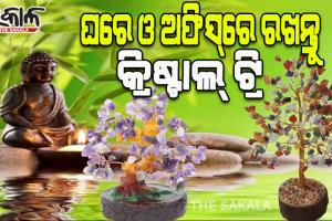 ସକାରାତ୍ମକ ଶକ୍ତି ସୃଷ୍ଟି ହେବା ସହ ସୁଖସମୃଦ୍ଧି ବୃଦ୍ଧି କରିବା ପାଇଁ ଘରେ ଓ ଅଫିସ୍‌ରେ ରଖନ୍ତୁ କ୍ରିଷ୍ଟାଲ୍‌ ଟ୍ରି