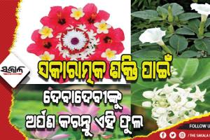 ଜାଣନ୍ତୁ କେଉଁ ଦେବାଦେବୀଙ୍କୁ ଅର୍ପଣ କରିବେ କେଉଁ ଫୁଲ….