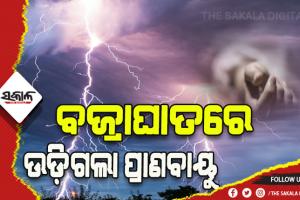 ଛେଳି ଚରାଇବାକୁ ଯାଇଥିବା ବେଳେ ଅଘଟଣ: ବଜ୍ରାଘାତରେ ୨ ମୃତ