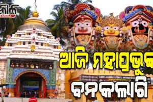ଜନ୍ମବେଦୀରେ ଦର୍ଶନ ଦେଉଛନ୍ତି ଦାରୁଦିଅଁ: ଆଜି ହେବ ମହାପ୍ରଭୁଙ୍କ ବନକଲାଗି, ୪ ଘଣ୍ଟା ବନ୍ଦ ରହିବ ଦର୍ଶନ