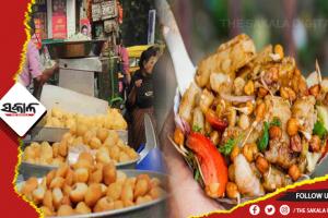 ବର୍ଷାଦିନେ ଷ୍ଟ୍ରିଟ୍‌ ଫୁଡ୍‌ ଖାଇବା ପାଇଁ କାହିଁକି ମନାକରାଯାଇଥାଏ, ଆସନ୍ତୁ ଜାଣିବା…