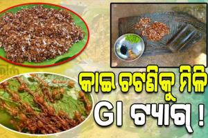କାଇ ଚଟଣିକୁ ଜିଆଇ ଟ୍ୟାଗ୍‍ ପାଇଁ ପ୍ରୟାସ, ଖୁବଶୀଘ୍ର ଆରମ୍ଭ ହେବ ପ୍ରକ୍ରିୟା