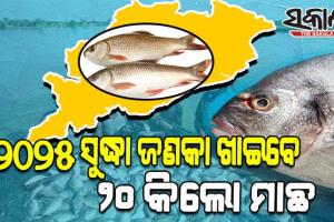 ମତ୍ସ୍ୟ ଓ ପଶୁସମ୍ପଦ ବିଭାଗର ବିବିଧ ମାଛଚାଷ ଯୋଜନାର ରୋଡମ୍ୟାପ୍‍: ରାଜ୍ୟରେ ୨୦୨୫ ସୁଦ୍ଧା ଜଣକା ଖାଇବେ ୨୦ କିଲୋ ମାଛ