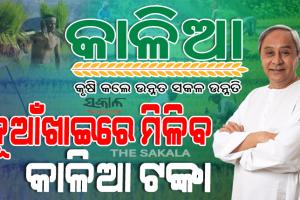 ଚାଷୀଙ୍କ ପାଇଁ ମୁଖ୍ୟମନ୍ତ୍ରୀଙ୍କ ନୂଆଁଖାଇ ଭେଟି : ୪୧ ଲକ୍ଷ ଚାଷୀଙ୍କ ଆକାଉଣ୍ଟକୁ ଆସିବ ‘କାଳିଆ’ ସହାୟତା