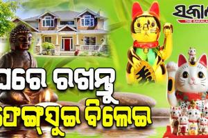 ଘରେ ଏହି ରଙ୍ଗର ଫେଙ୍ଗସୁଇ ବିଲେଇ ରଖିଲେ ଦୂର ହୋଇଥାଏ ଅନେକ ସମସ୍ୟା…