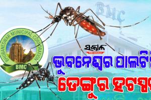 ରାଜଧାନୀରେ ଡେଙ୍ଗୁ ଆତଙ୍କ: ସହରାଞ୍ଚଳରୁ ବସ୍ତିକୁ ବ୍ଯାପିଲା ଡେଙ୍ଗୁ, ସାଲିଆ ସାହିରେ ୧୦୦ପାର କାଲ ଆକ୍ରାନ୍ତଙ୍କ ସଂଖ୍ଯା