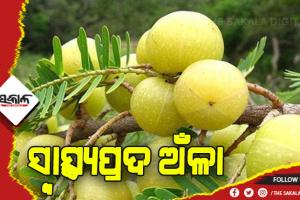 ଖାଲି ପେଟରେ ଖାଆନ୍ତୁ ଅଁଳା….