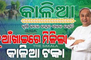 ନୂଆଁଖାଇରେ ଚାଷୀଙ୍କ ଆକାଉଣ୍ଟକୁ ଆସିଲା ‘କାଳିଆ’ ସହାୟତା