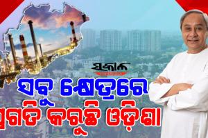 ଓଡ଼ିଶା ପୁଞ୍ଜିନିବେଶର ପ୍ରକୃଷ୍ଟ କ୍ଷେତ୍ର: ମୁଖ୍ୟମନ୍ତ୍ରୀ