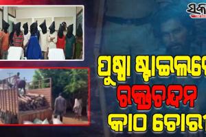 ପୁଷ୍ପା ଷ୍ଟାଇଲରେ କରୁଥିଲେ ବିରଳ ରକ୍ତ ଚନ୍ଦନ କାଠ ଚୋରା ଚାଲାଣ, ମାଡିବସିଲା ଆନ୍ଧ୍ର ପୋଲିସ