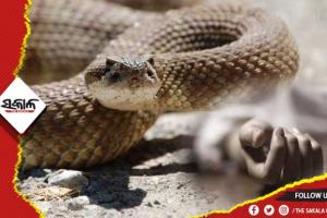 ସାପ କାମୁଡ଼ାରେ ପୃଥକ ପୃଥକ ସ୍ଥାନରେ ଜଣେ ଯୁବକ ଓ ମହିଳାଙ୍କ ମୃତ୍ୟୁ