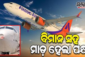 ମଝି ଆକାଶରେ ଉଡ଼ୁଥିବାବେଳେ ‘ଆକାଶ ଏୟାର’ ବିମାନରେ ମାଡ଼ହେଲା ପକ୍ଷୀ, ଦିଲ୍ଲୀ ଏୟାରପୋର୍ଟରେ କଲା ଜରୁରୀ ଅବତରଣ