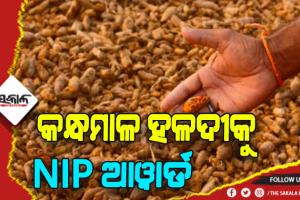 GI ଟ୍ୟାଗ ପରେ କନ୍ଧମାଳ ହଳଦୀକୁ ମିଳିଲା NIP ଆୱାର୍ଡ