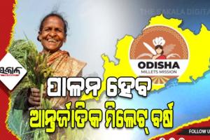 ଶିକ୍ଷାନୁଷ୍ଠାନ ଉପରେ ମିଲେଟ୍‌‌ ମିଶନ୍‌‌ର ସଫଳତା ଦାୟିତ୍ୱ, ପାଳନ ହେବ ଆନ୍ତର୍ଜାତିକ ମିଲେଟ୍‌‌ ବର୍ଷ