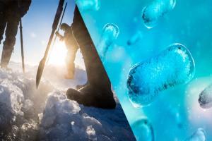 ୪୮୫୦୦ ବର୍ଷ ତଳର ଭୂତାଣୁକୁ ପୁଣି ଜୀବିତ କଲେ ବୈଜ୍ଞାନିକ