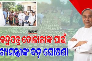 କେନ୍ଦୁପତ୍ର ତୋଳାଳୀ ଓ କର୍ମଚାରୀ ମାନଙ୍କ କଲ୍ଯାଣ ପାଇଁ ମୁଖ୍ୟମନ୍ତ୍ରୀଙ୍କ ବଡ଼ ଘୋଷଣା