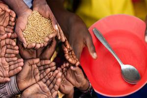 ବିଶ୍ବ ଖାଦ୍ୟ କାର୍ଯ୍ୟକ୍ରମ ରିପୋର୍ଟ: ପ୍ରତିରାତିରେ ଭୋକିଲା ରୁହନ୍ତି ବିଶ୍ବର ୮୨ କୋଟି ଲୋକ, ଚିନ୍ତା ବଢ଼ାଉଛି ଖାଦ୍ୟ ସଙ୍କଟ,ଦରଦାମ୍‌ ବୃଦ୍ଧି