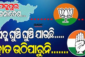 ପଦ୍ମପୁର ରେଜଲ୍ଟ : ଉଡ଼ିଲାଣି ଶଙ୍ଖ ପତାକା, ବିଜେଡ଼ି ଜିନ୍ଦାବାଦ୍ ନାରା ସହ ଆରମ୍ଭ ହେଲା ବିଜେଡିର ସେଲିବ୍ରେସନ