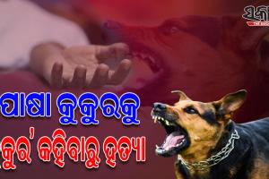 ତାମିଲ୍‌ନାଡୁ ଡିଣ୍ଡିଗୁଲ ଜିଲ୍ଲାରେ ଚାଞ୍ଚଲ୍ୟ; ପୋଷା କୁକୁରକୁ ‘କୁକୁର’ କହିବାରୁ ହତ୍ୟା