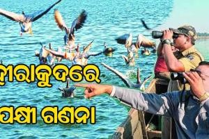 ଆଜିଠୁ ହୀରାକୁଦ ଜଳ ଭଣ୍ଡାରରେ ପକ୍ଷୀ ଗଣନା ଆରମ୍ଭ