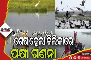 ଶେଷ ହେଲା ଚିଲିିକାରେ ପକ୍ଷୀ ଗଣନା: ଗତବର୍ଷ ଅପେକ୍ଷା ବଢିଛି ପକ୍ଷୀଙ୍କ ସଂଖ୍ୟା, ଚଳିତବର୍ଷ ୧୧ଲକ୍ଷ ୩୧ହଜାର ୯୨୯ପକ୍ଷୀଙ୍କ ଆଗମନ