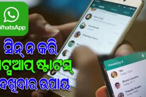 ହ୍ବାଟ୍ସଆପ୍‌ର ୟୁଜରଙ୍କ ପାଇଁ ନୂଆ ସୁବିଧା: କାହାର ଷ୍ଟାଟସ୍ ଦେଖିଲେ ବି ସେ ଜାଣିପାରିବେ ନାହିଁ