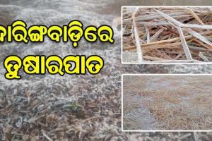 ଦାରିଙ୍ଗବାଡ଼ିରେ ଚଳିତ ବର୍ଷର ପ୍ରଥମ ତୁଷାରପାତ