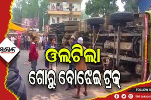 ଭାରସାମ୍ୟ ହରାଇ ଓଲଟିଲା ଗୋରୁ ବୋଝେଇ ଟ୍ରକ୍, ୧୪ରୁ ଉର୍ଦ୍ଧ୍ଵ ଗୋରୁ ମୃତ