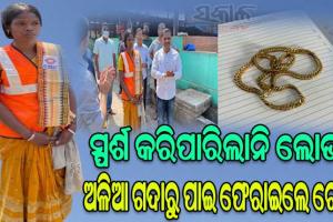 рм╕рмлрнЗрмЗ рмХрм░рнНрморнАрмЩрнНрмХ рм╕рмлрм╛ рм╣рнГрмжрнЯ: рмЕрм│рм┐рмЖ рмЧрмжрм╛рм░рнБ рмЪрнЗрмирнНтАМтАМ рмкрм╛рмЗ рмлрнЗрм░рм╛рмЗрм▓рнЗ