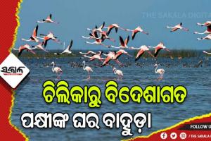 рмЧрнНрм░рнАрм╖рнНрморм░ рмЖрмЧрмормирм░рнЗ рмЪрм┐рм▓рм┐рмХрм╛рм░рнБ рммрм┐рмжрнЗрм╢рм╛рмЧрмд рмкрмХрнНрм╖рнАрмЩрнНрмХ рмШрм░ рммрм╛рм╣рнБрмбрм╝рм╛┬а